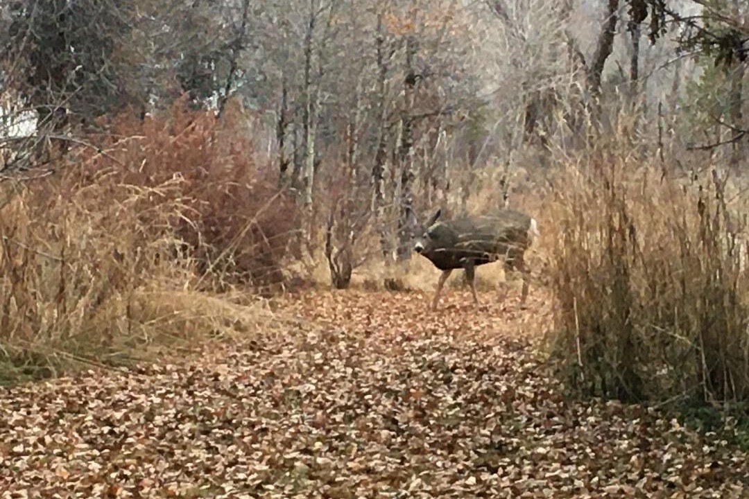 Photo of Outdoor in Bedford