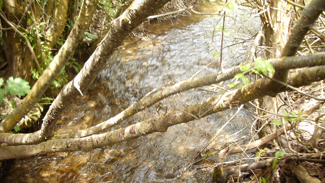 Photo of Outdoor in Bedford