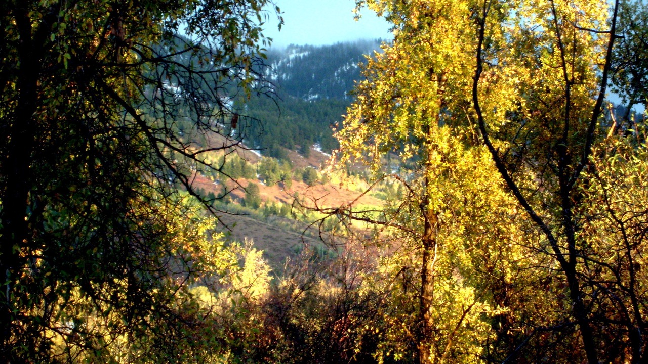 Photo of Outdoor in Bedford