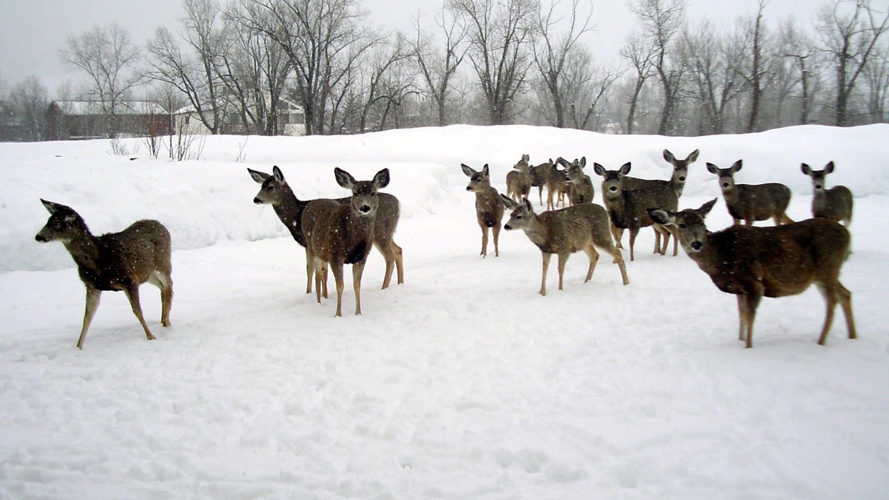 Photo of Others in Bedford