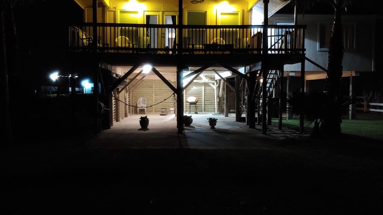 Photo of Others in Gulf Palms