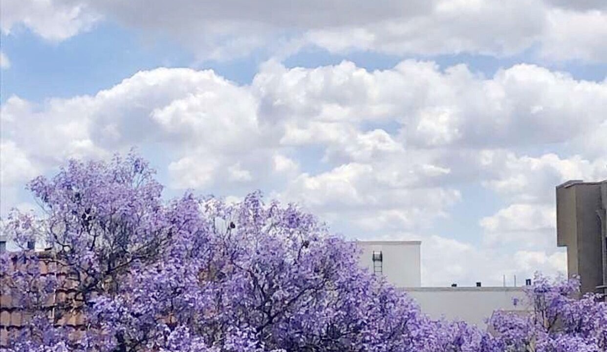 Photo of Outdoor in Beverly Grove