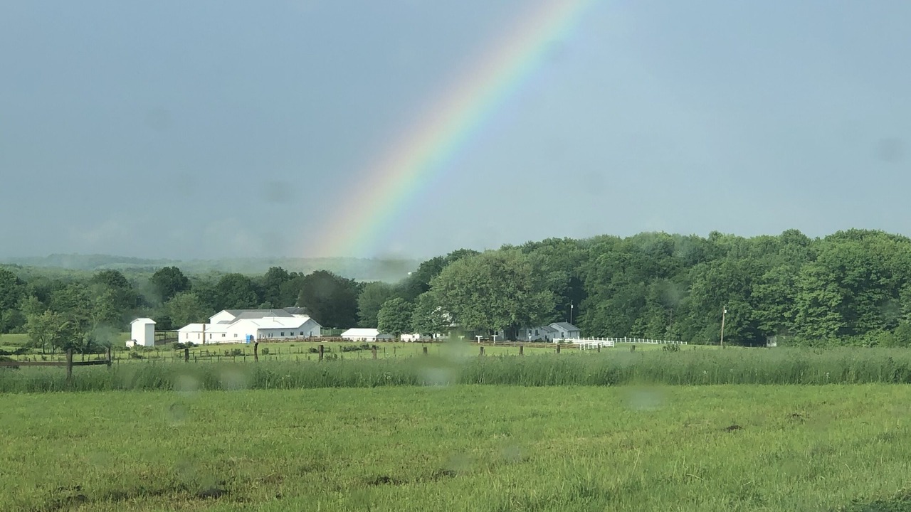 Photo of Others in New Wilmington