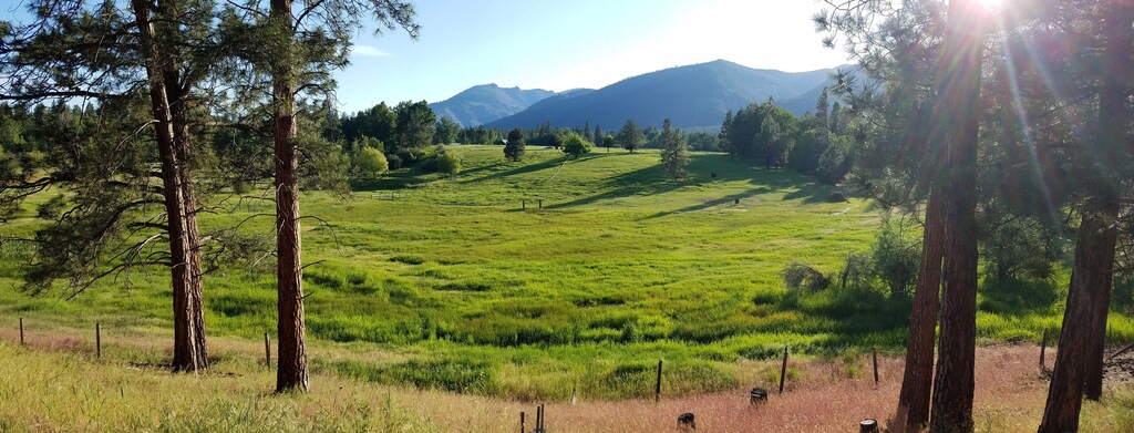 Photo of Outdoor in Stevensville