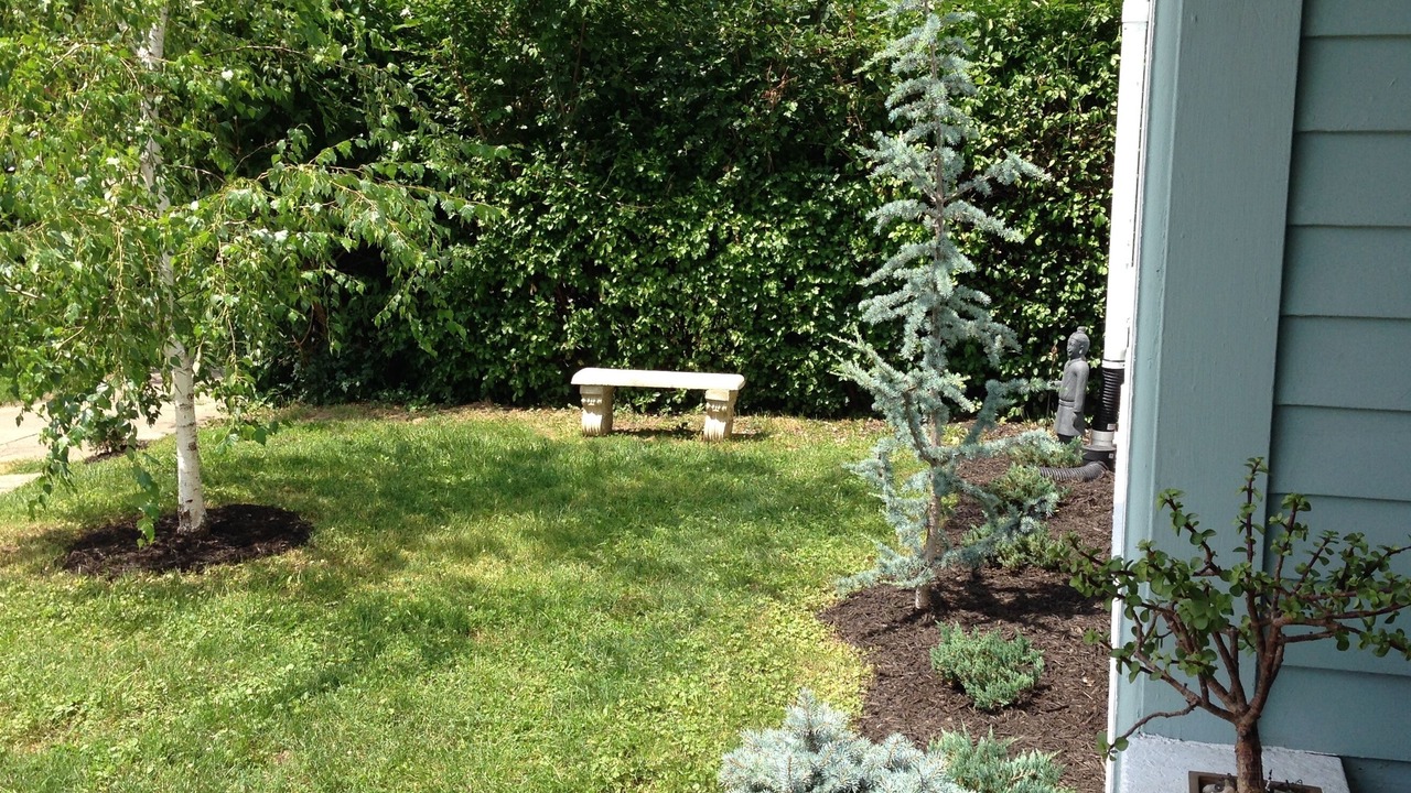 Photo of Outdoor in Shelby Park