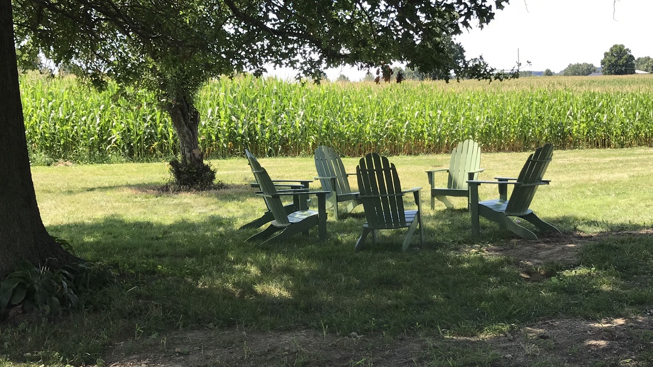 Photo of Outdoor in Wayne County