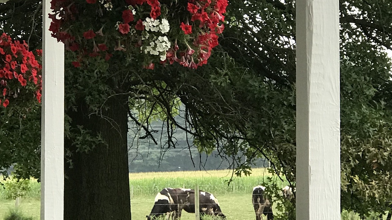 Photo of Outdoor in Wayne County