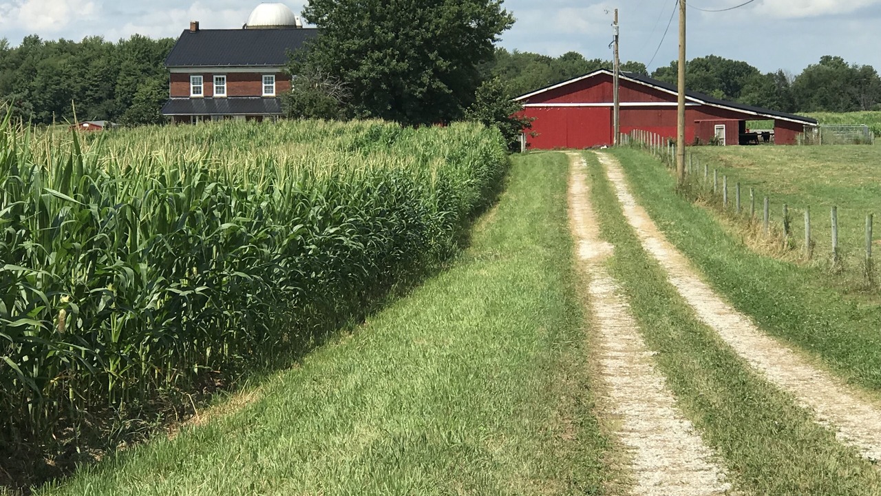 Photo of Outdoor in Wayne County