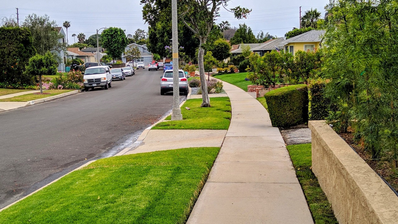 Photo of Others in Mar Vista