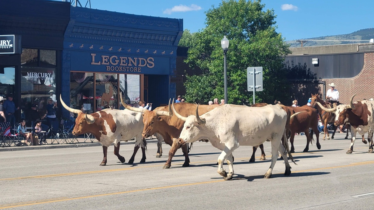 Photo of Others in Cody