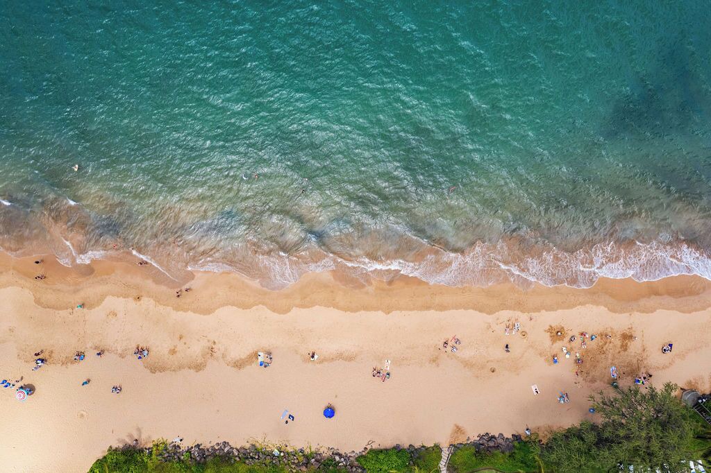 Photo of Others in Grahams Island State Park