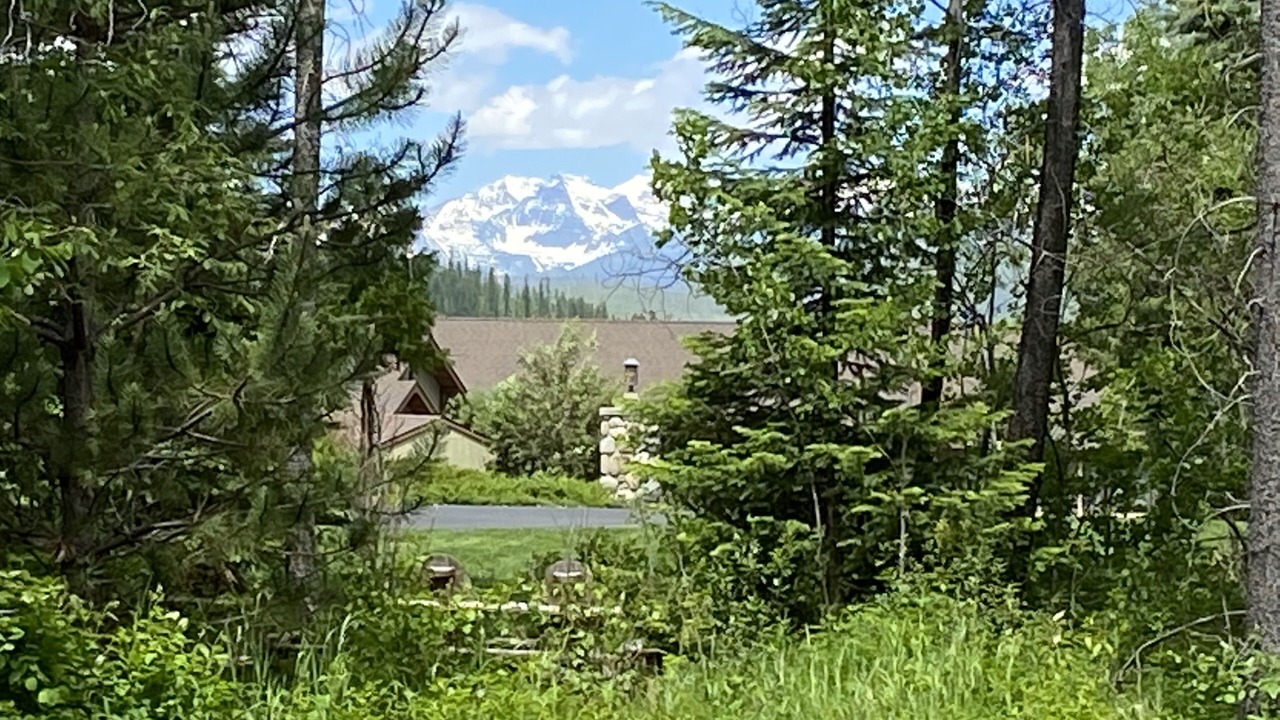 Photo of Others in West Glacier
