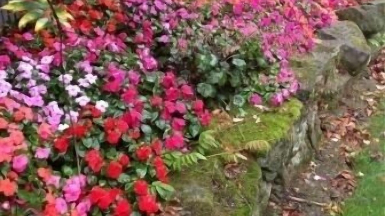 Photo of Outdoor in Peninsula
