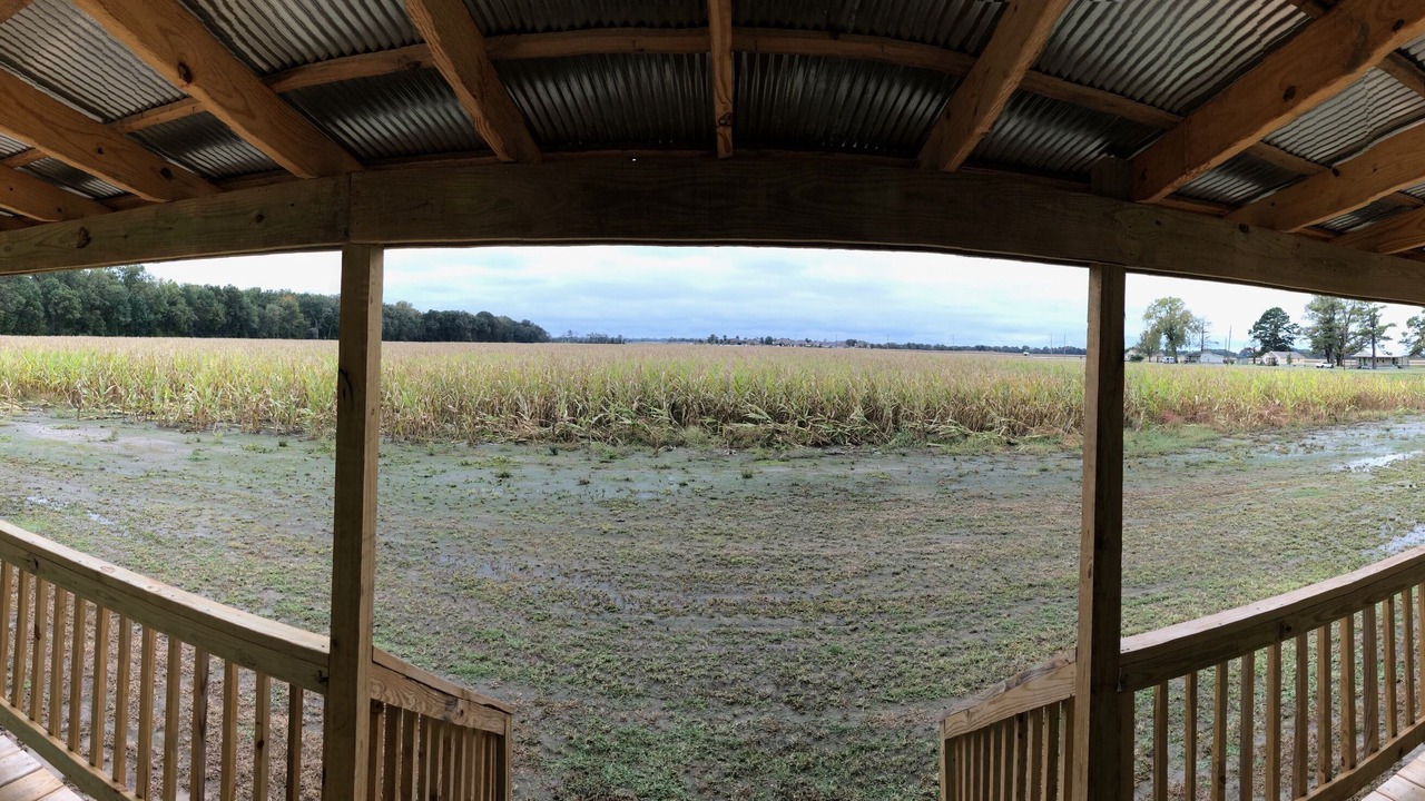 Photo of Outdoor in Marion