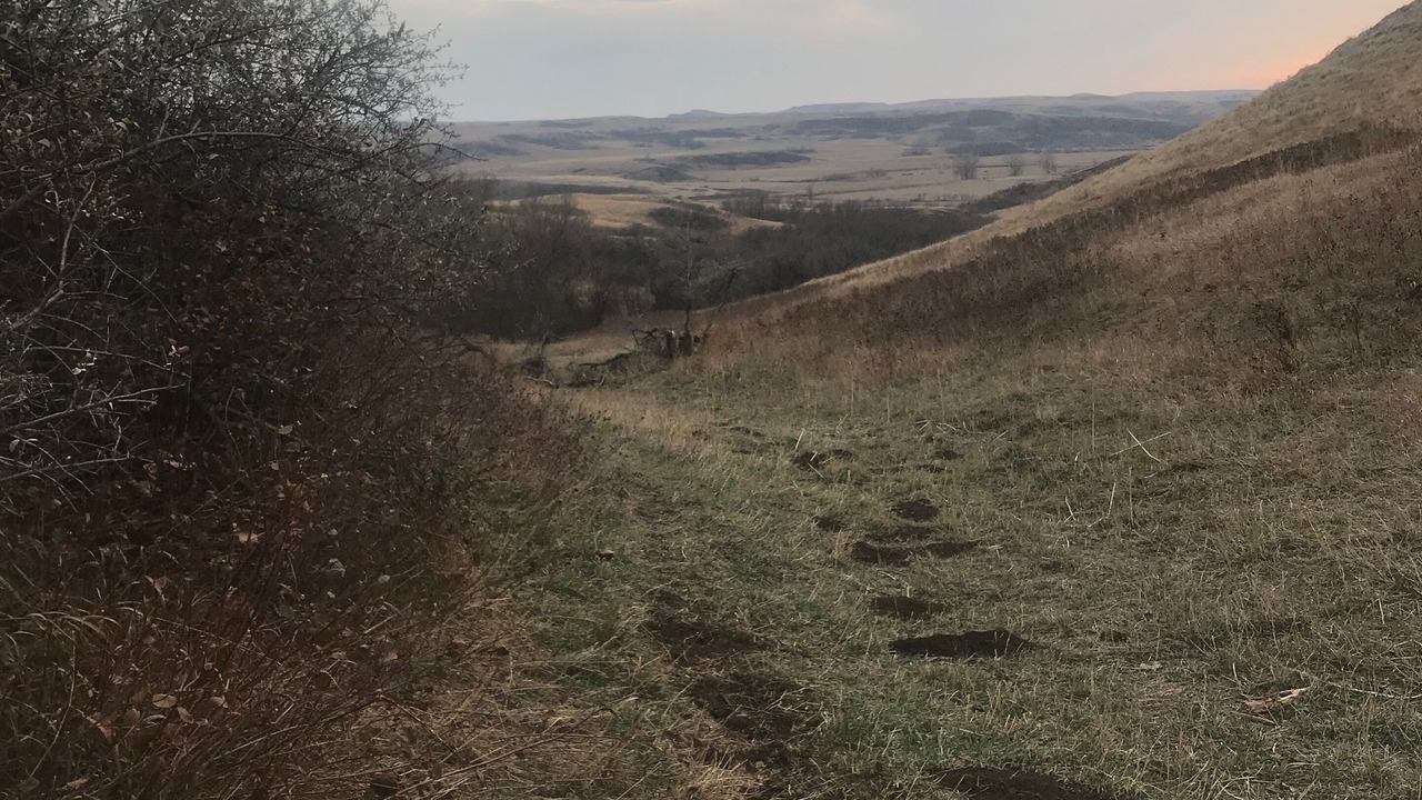 Photo of Outdoor in Saint Anthony