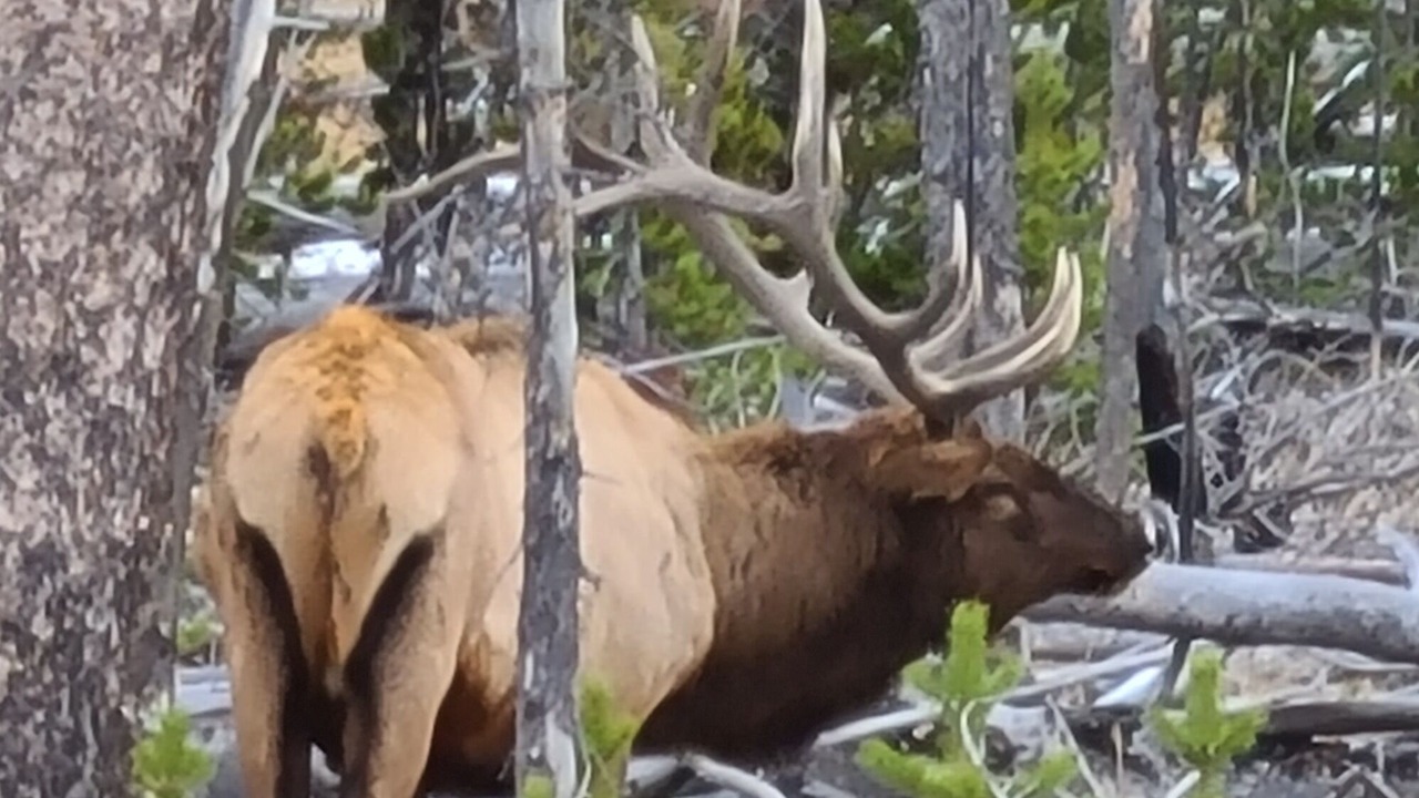Photo of Others in Clark