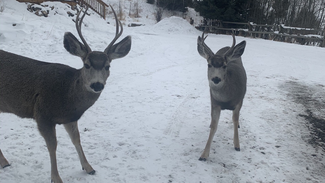 Photo of Others in Gardiner