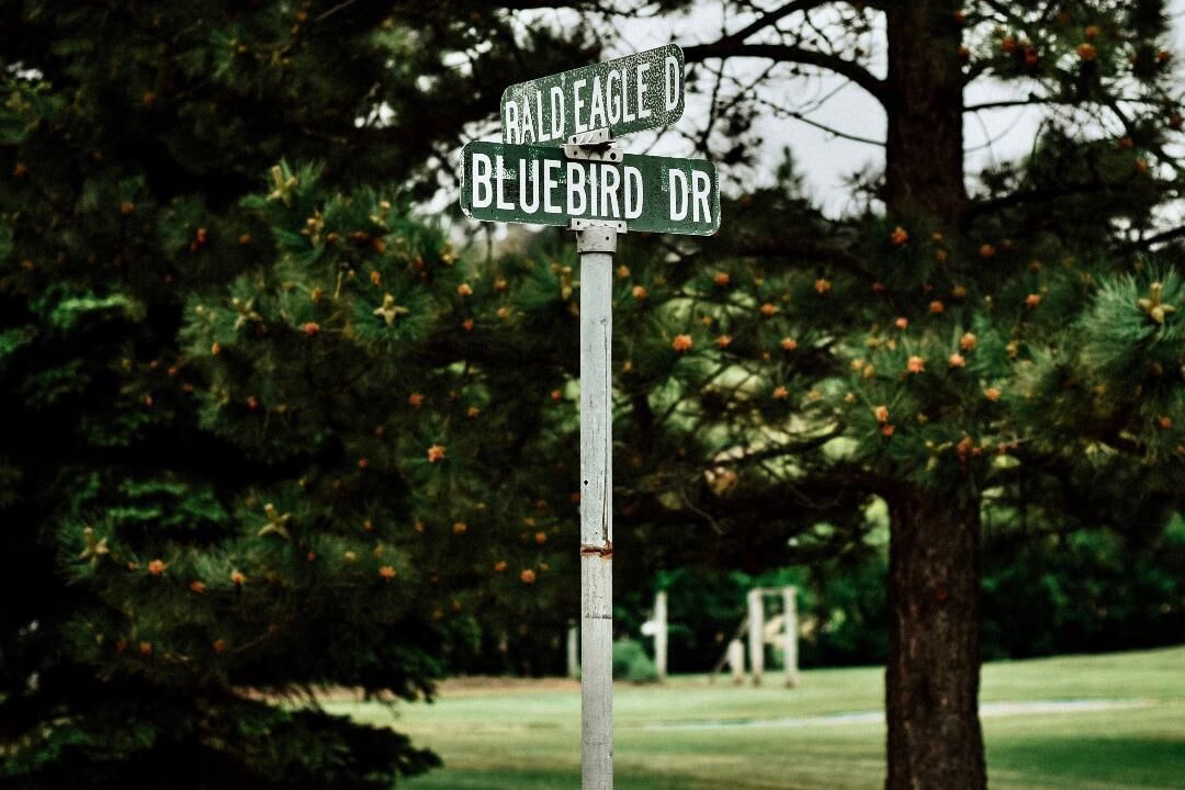Photo of Outdoor in Cascade