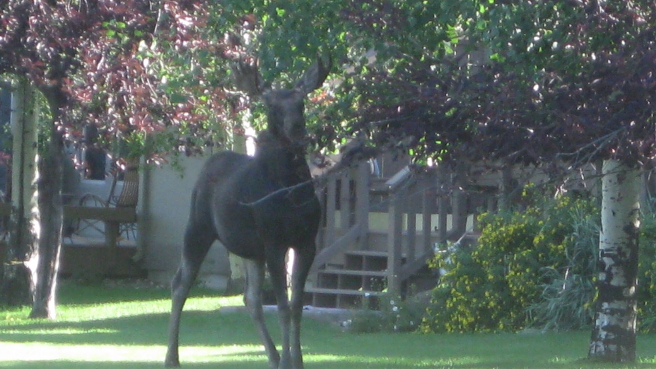 Photo of Outdoor in Red Lodge