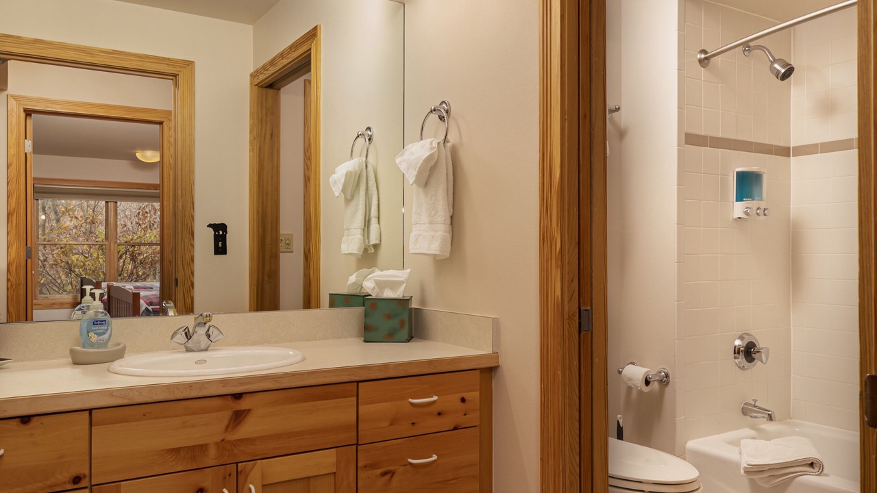 Photo of Bathroom in Driggs