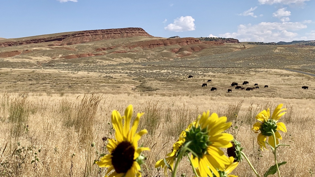 Photo of Others in Thermopolis