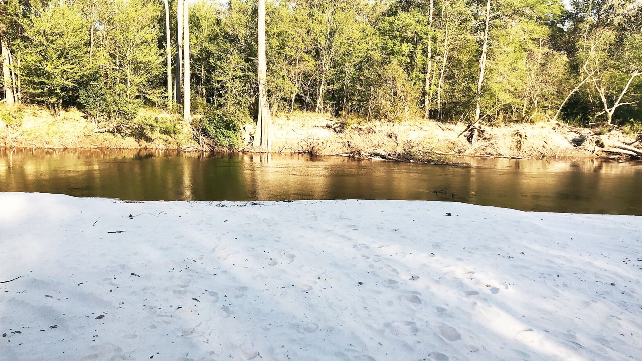 Photo of Others in Perkinston