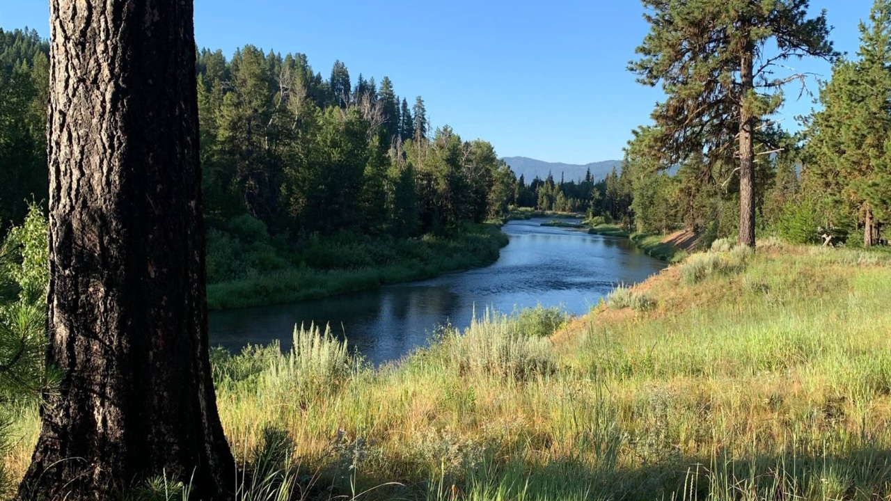 Photo of Others in McCall
