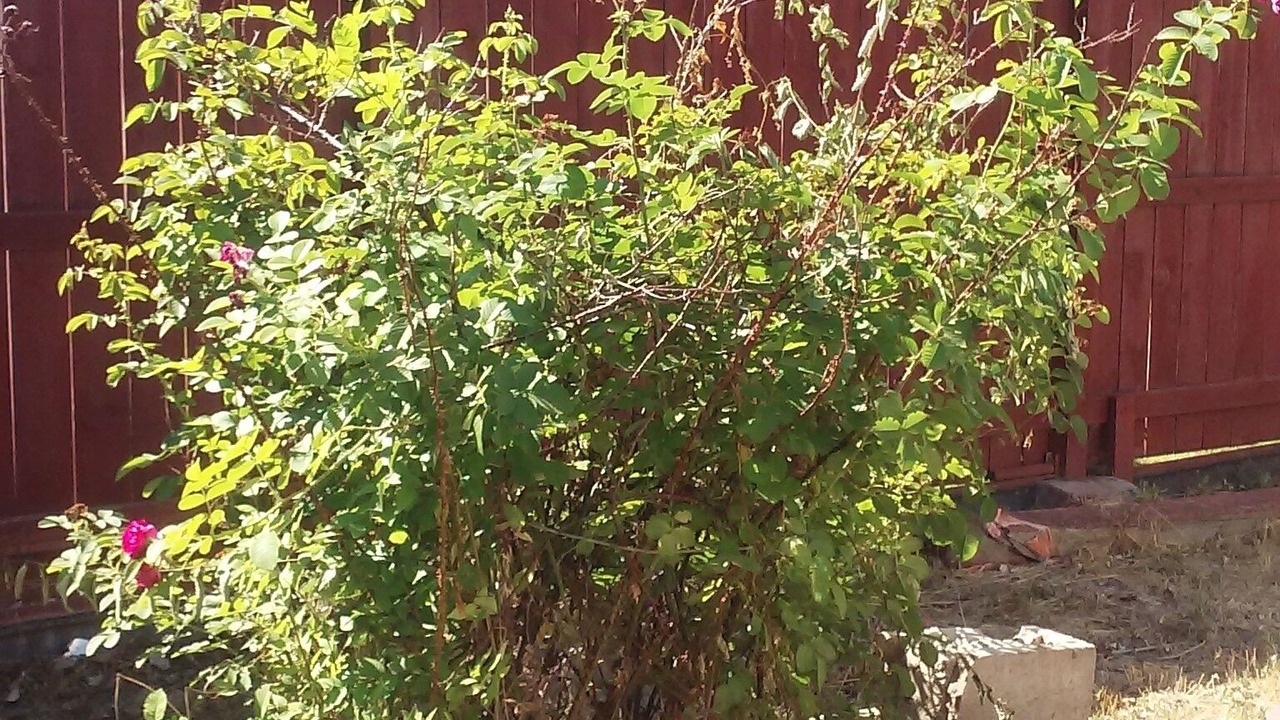 Photo of Outdoor in Powell