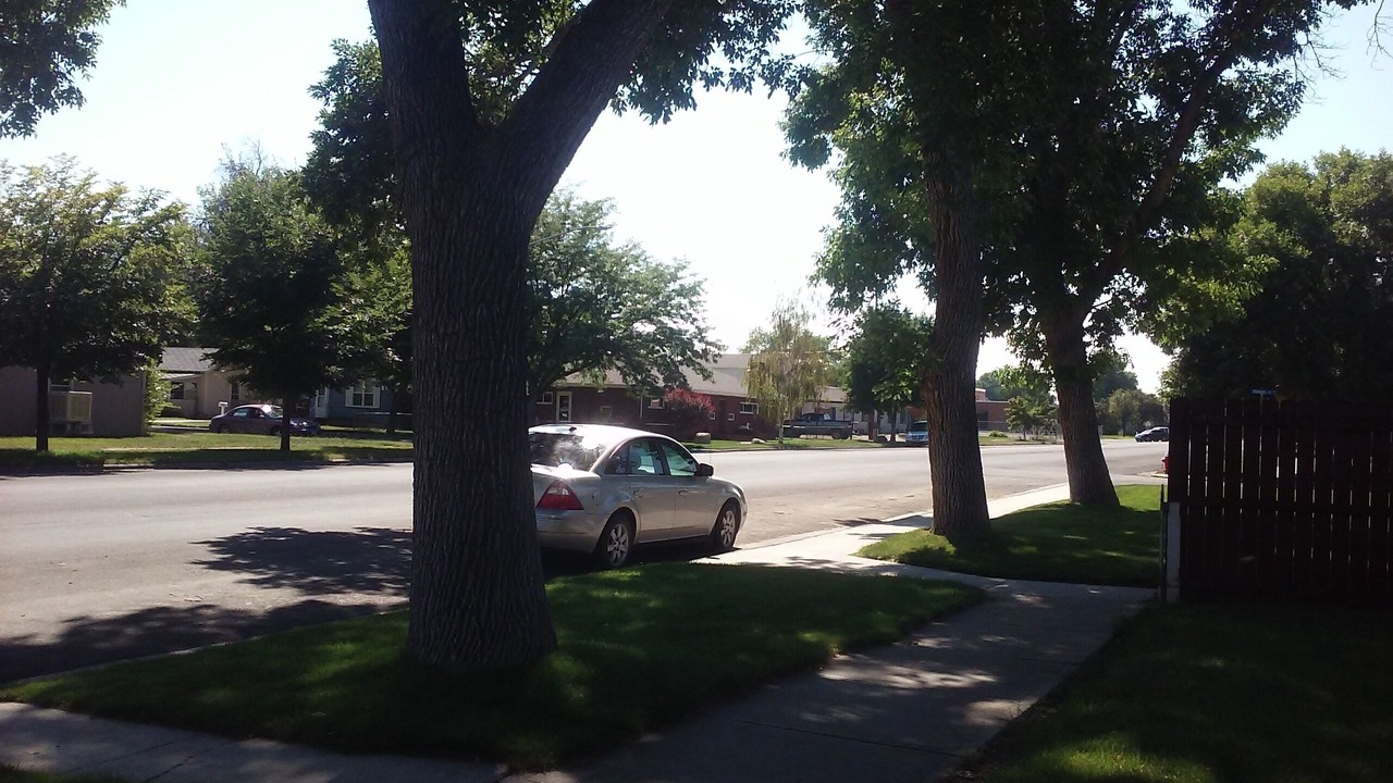 Photo of Outdoor in Powell