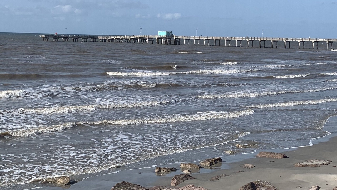 Photo of Others in Galveston