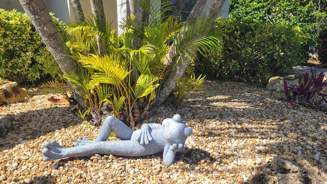 Photo of Outdoor in Bonita Shores