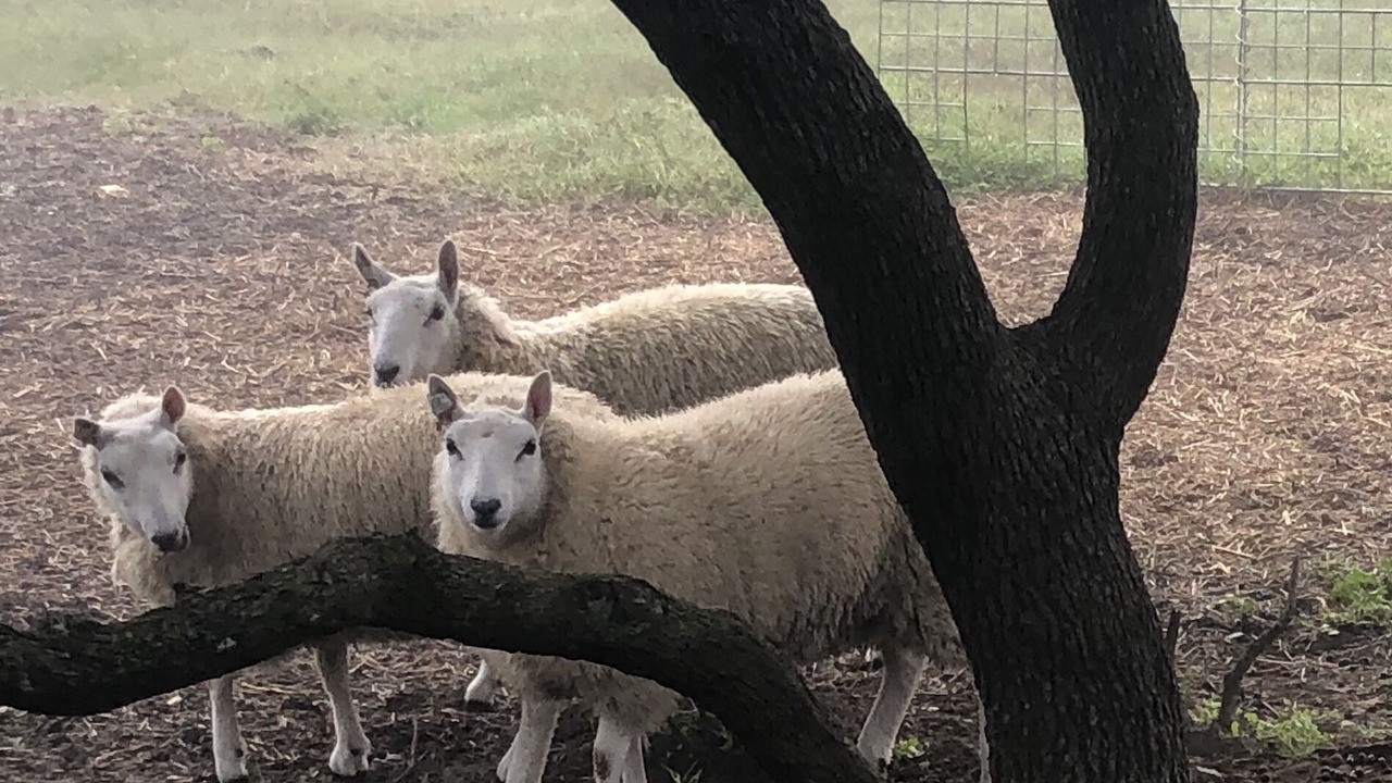 Photo of Others in Fredericksburg