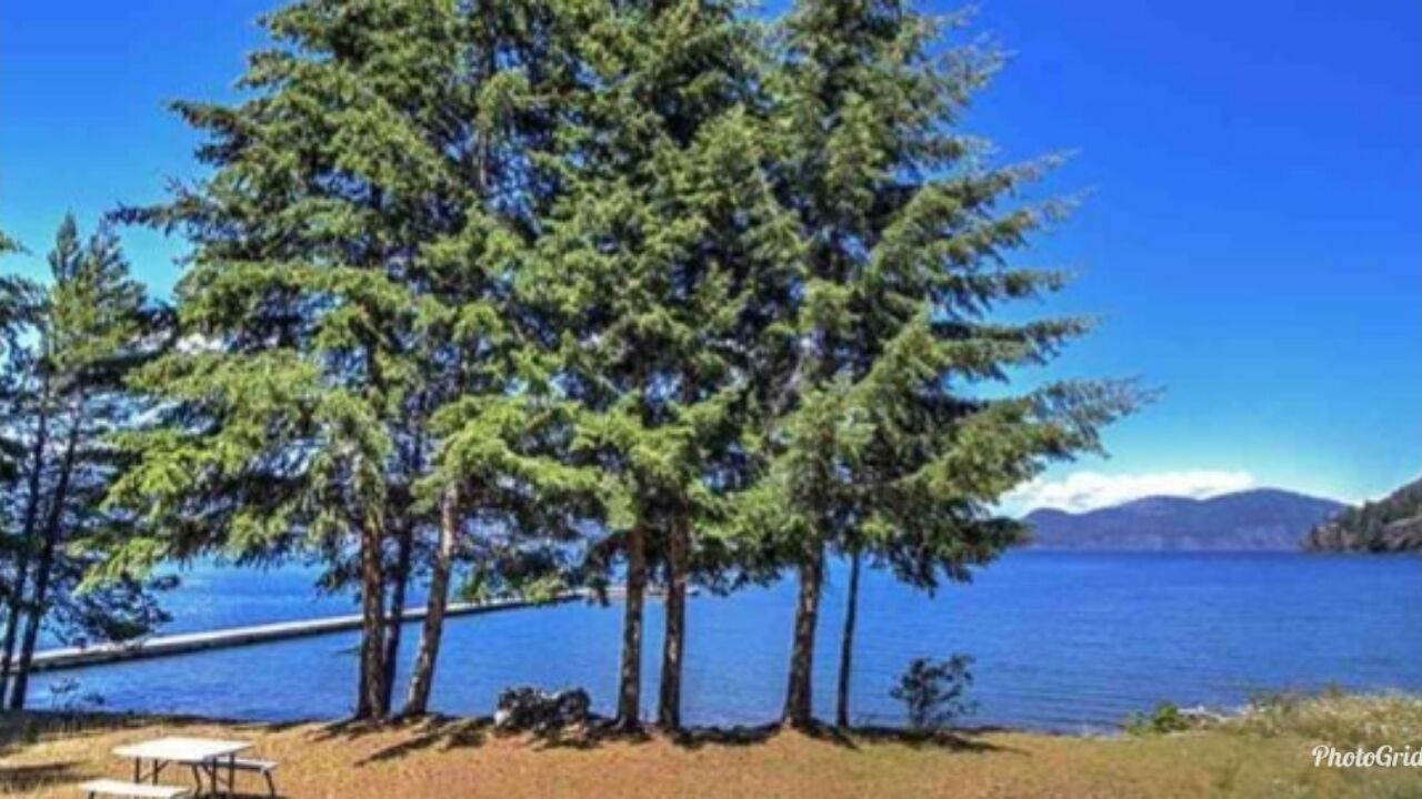 Photo of Others in Bayview