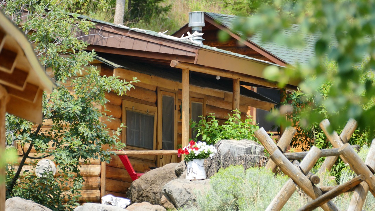 Photo of Outdoor in Wapiti