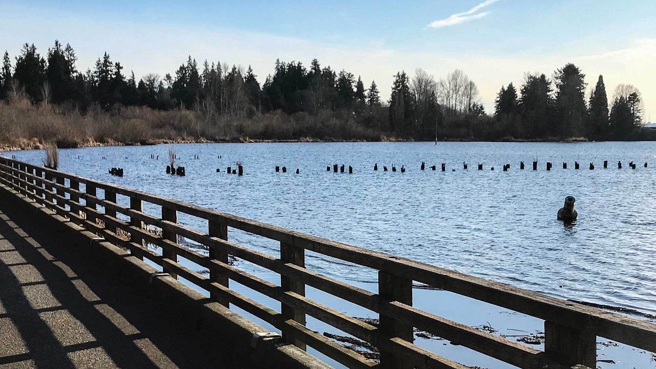 Photo of Others in Kenmore