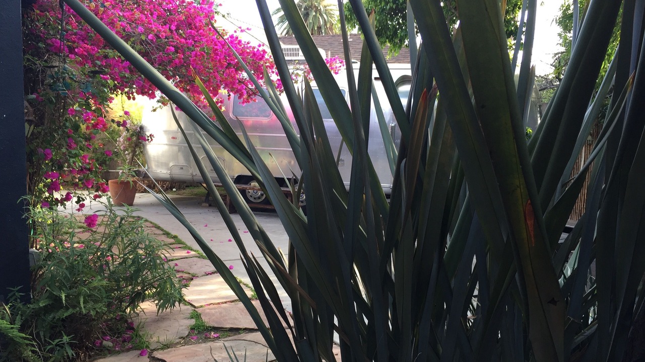 Photo of Outdoor in Mar Vista