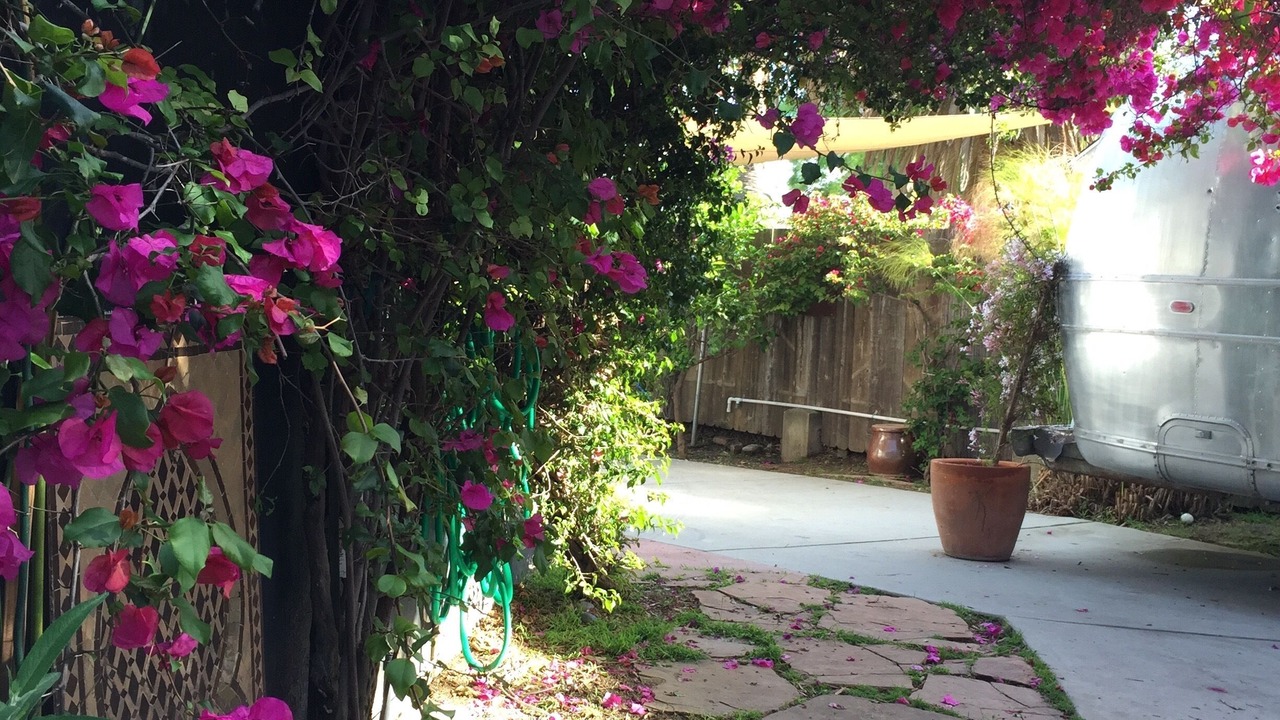 Photo of Outdoor in Mar Vista