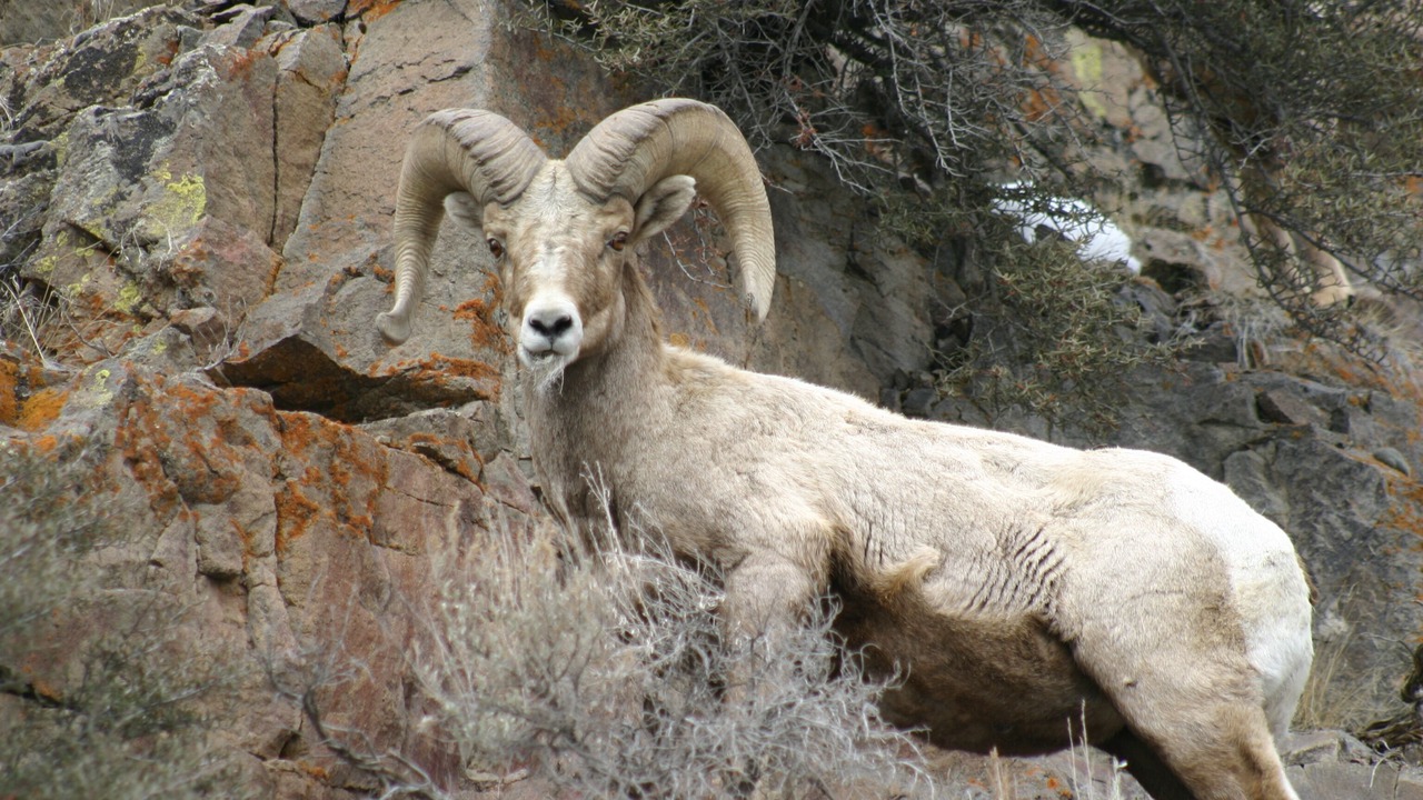 Photo of Outdoor in Custer County