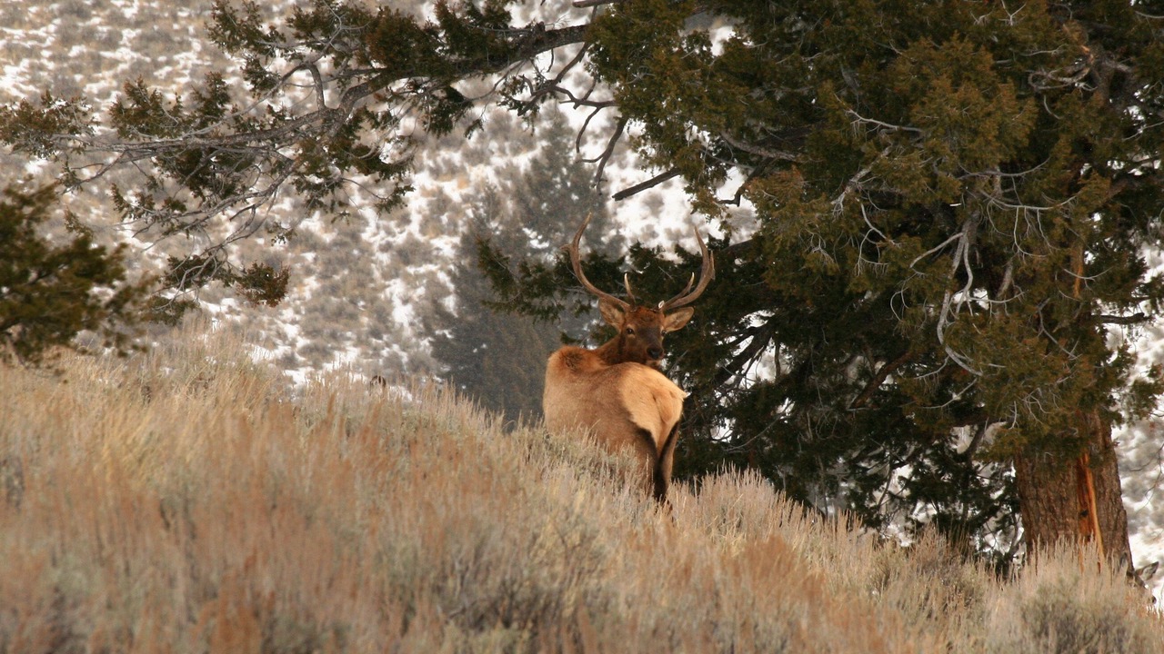 Photo of Outdoor in Custer County