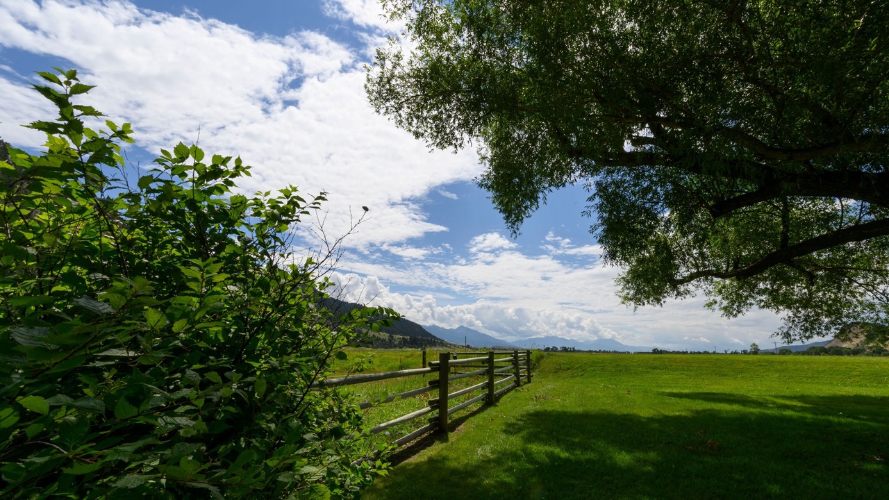 Photo of Outdoor in Livingston