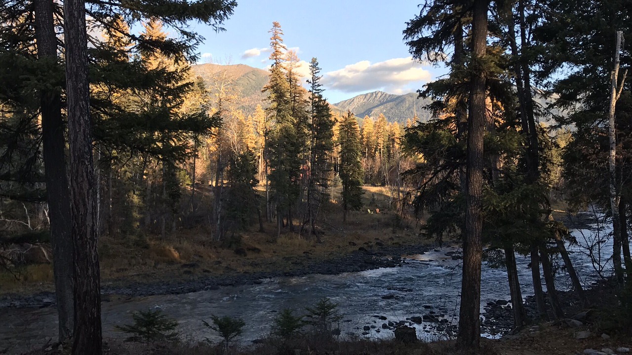 Photo of Others in Bigfork