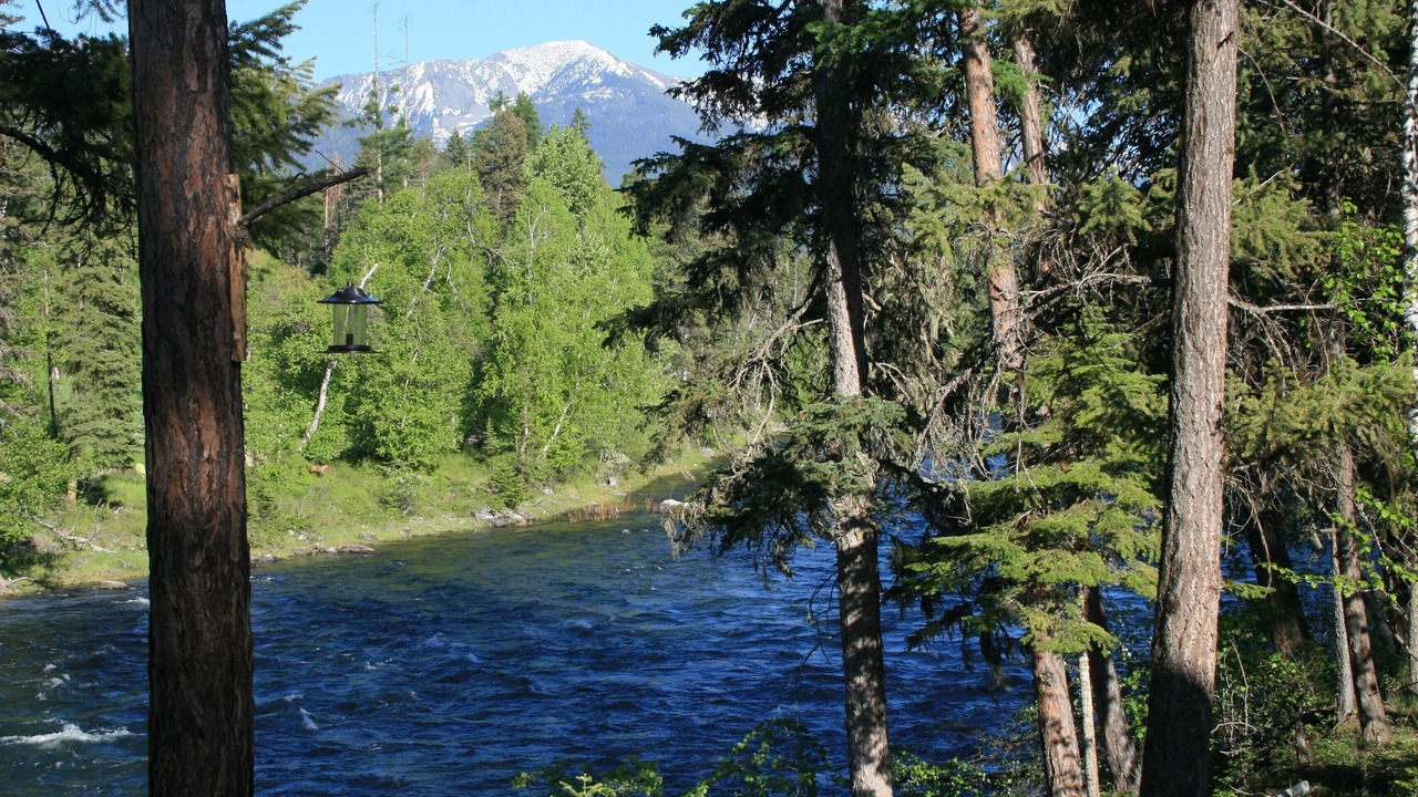 Photo of Others in Bigfork
