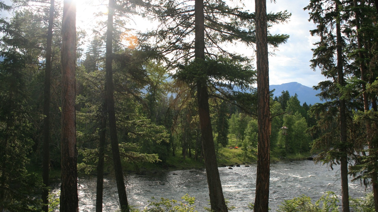Photo of Others in Bigfork