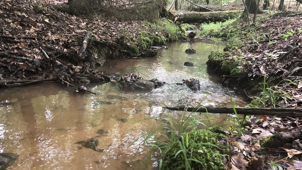 Photo of Outdoor in Bowling Green