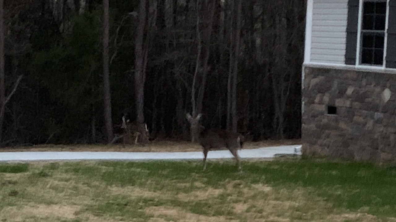 Photo of Outdoor in Bowling Green