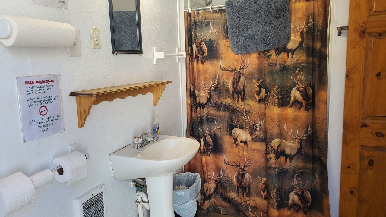 Photo of Bathroom in Shoshone County