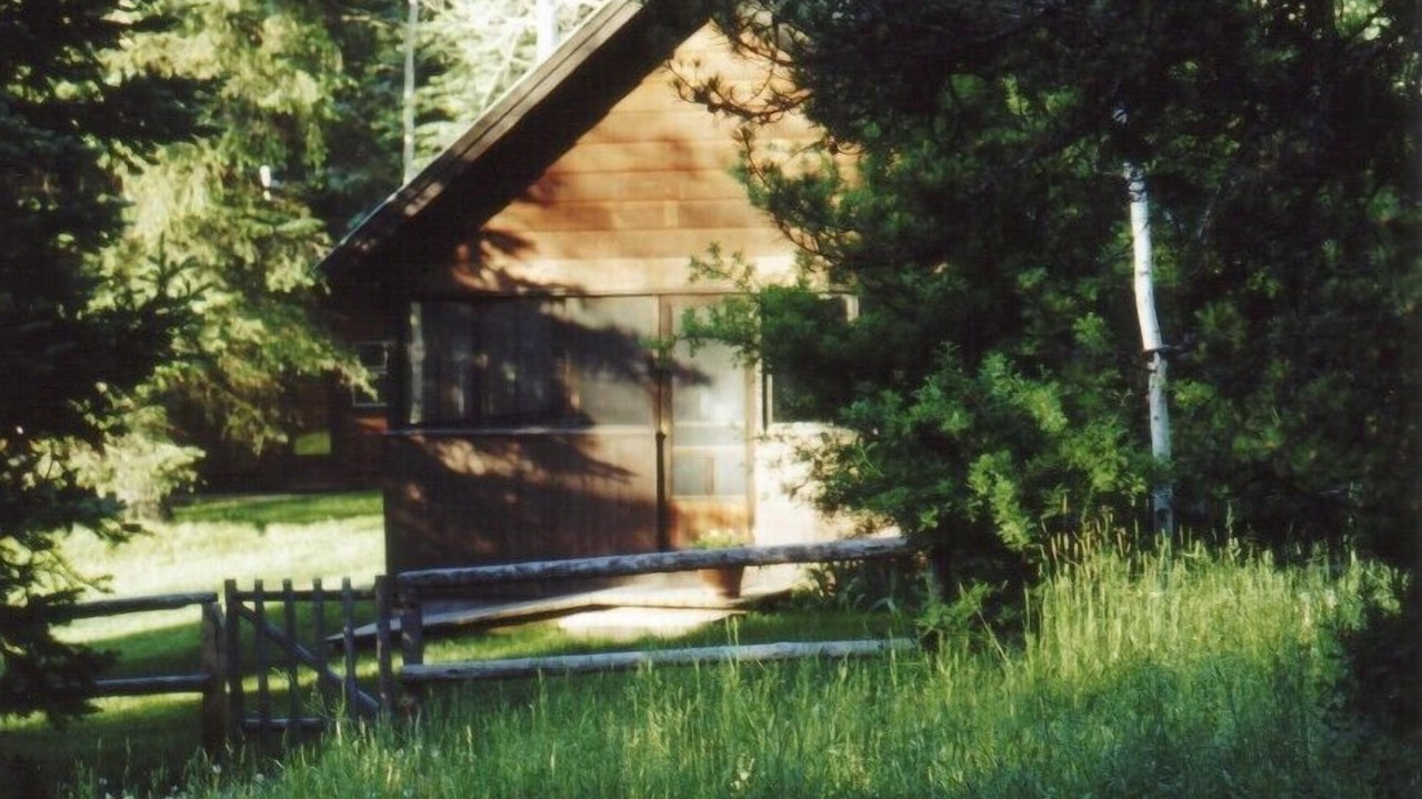 Photo of Others in Wilson