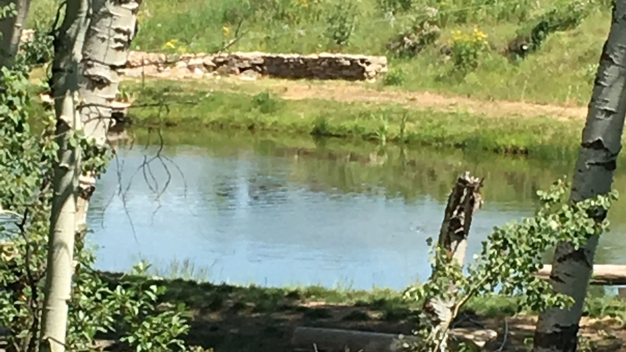 Photo of Outdoor in Tetonia