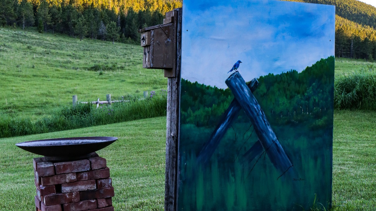 Photo of Outdoor in Moccasin