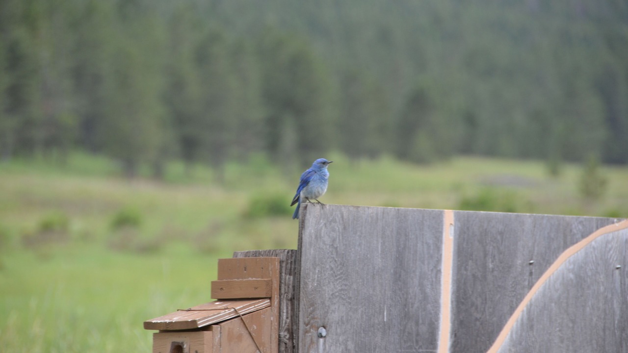 Photo of Others in Moccasin